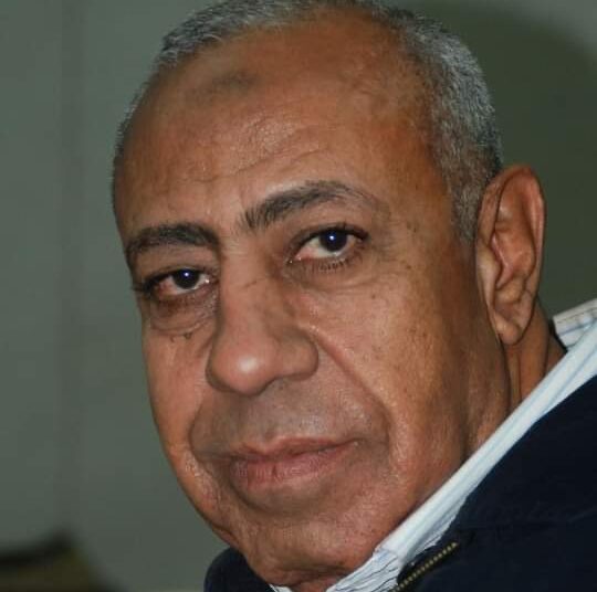 محمد سلامة