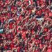 جماهير الاهلي