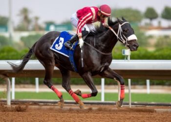 الجوائز مليون ريال وكؤوس ست وزارات ..الاتحاد الدولي للفروسية يعتمد جدول بطولات جدة الثلاثية IST