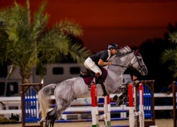 خيل بطولة الجولات الدولية IST تصل جدة 21 يناير 2024