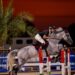 خيل بطولة الجولات الدولية IST تصل جدة 21 يناير 2024