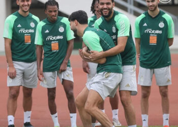 سفيان فيجولي لـ النهار الجزائرية : جاهزون لبطولة أفريقيا – صور