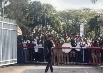 الجالية المصرية فى كوت ديفوار تستقبل محمد صلاح في مشهد رهيب – فيديو