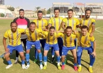 الوادي الجديد