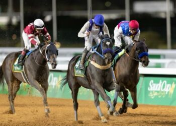 مهرجان كؤوس الملوك التاسع سباق الخيل بـ السعودية بـ الجنادرية