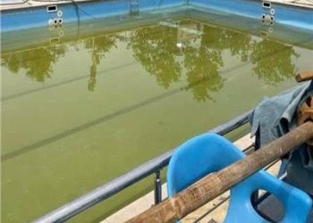 الزمالك يطُهر حمام السباحة بـ” مية النار”