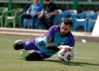 محمد أبو جبل