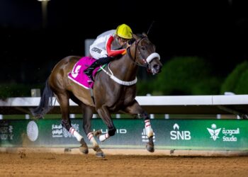 في سباقات الأسبوع السادس لموسم الرياض ..الأبيض يحلق عاليا بكاسي العدل والداخلية ..والأحمر يسجل حضوره في المدينه وامريكا