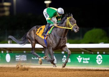 نادي سباقات الخيل يطلق أولى السباقات الكبرى للفئة الأولى على كأسي ولي العهد السعودي
