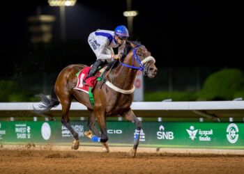 الخيل السعودية تتنافس على كؤوس النادي والتعليم وسعيد الماجد