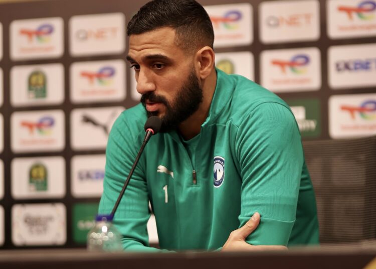 أحمد الشناوي