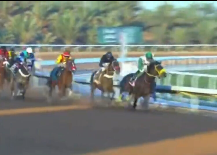 28 بطلا مرشحون للفوز بكاس السعودية الأغلى في العالم