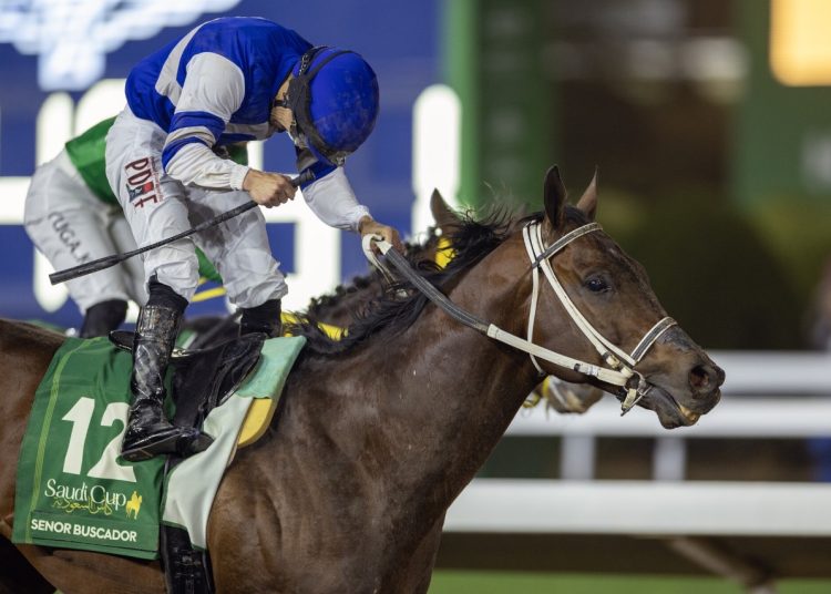 المكاسب العالمية للسباقات السعودية تتواصل كاسا السعودية والرياض للسرعة مؤهلان للبريدرز