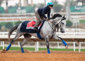 مدرب خيول إيطالي يخطط لتدريب رونالدو  حصانه مرشح للفوز بكاس البحر الأحمر