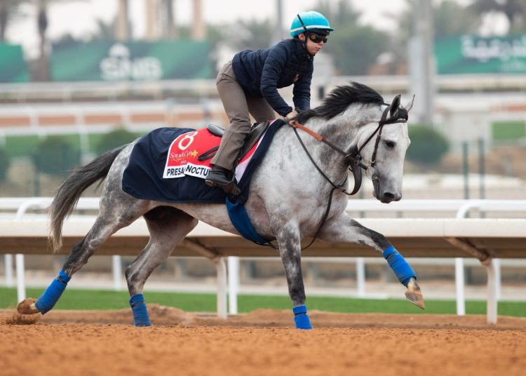 مدرب خيول إيطالي يخطط لتدريب رونالدو حصانه مرشح للفوز بكاس البحر الأحمر