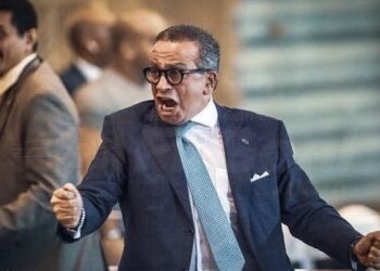 عمرو الجنايني