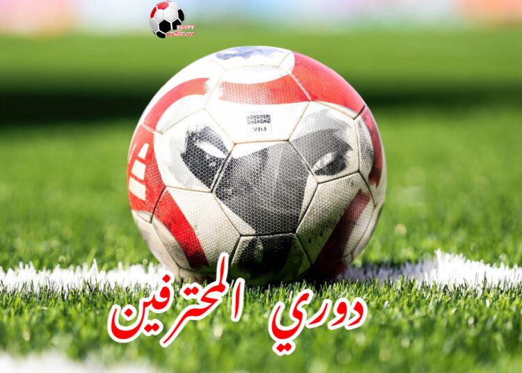 دوري المحترفين