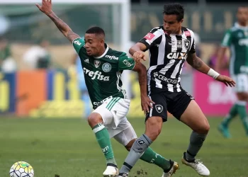 قمة نارية بين بالميراس وبوتافوجو في مونديال الأندية