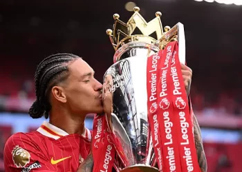 نابولي يقدم عرضا رسميا لضم نونيز