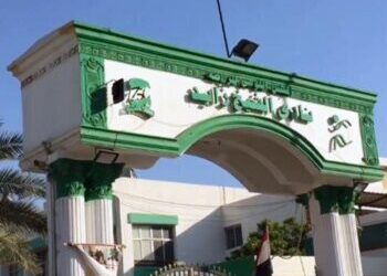 إجراء انتخابات نادي الشيخ زايد قبل ساعات من صدور قانون الرياضة 