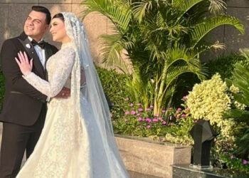 سكرتير عام محافظة أسوان يحتفل بزفاف نجله بحضور نخبة من كبار الشخصيات