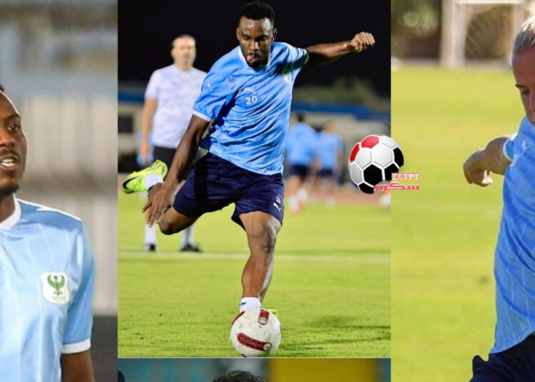 فشل ملف الأجانب في المصري مع كامل أبو علي.. هل حان وقت إعادة الحسابات؟