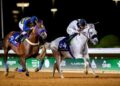 الخيل العربية تركض بالرياض على كأس رئيس الإمارات