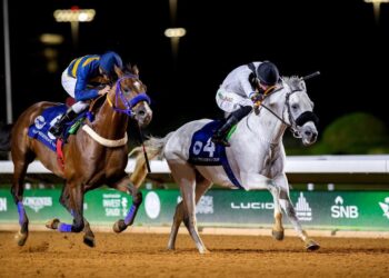 الخيل العربية تركض بالرياض على كأس رئيس الإمارات.. ونسخة 2025