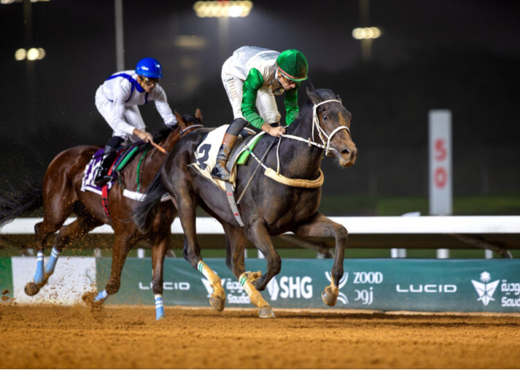 انطلاق منافسات الأسبوع التاسع من موسم سباقات الرياض بميدان الملك عبدالعزيز للفروسية