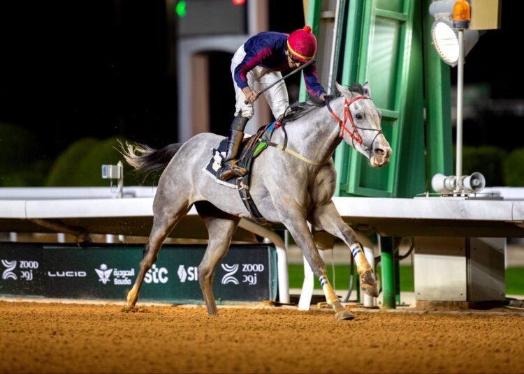 الجنادرية تحتضن سباقات الخيل على كؤوس المؤسس وسلمان ومهرجان عبدالله