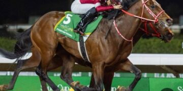 الحصان الياباني فوريفر يعود للرياض للدفاع عن كأس السعودية